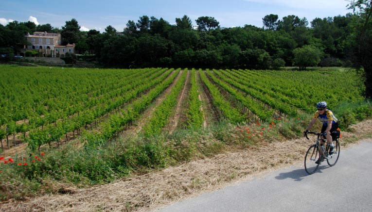 Bpti-provence-biking-2